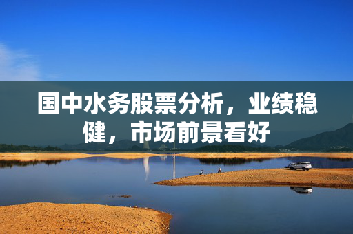 国中水务股票分析，业绩稳健，市场前景看好