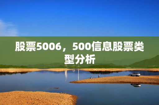 股票5006，500信息股票类型分析