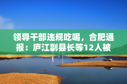 领导干部违规吃喝，合肥通报：庐江副县长等12人被停职检查