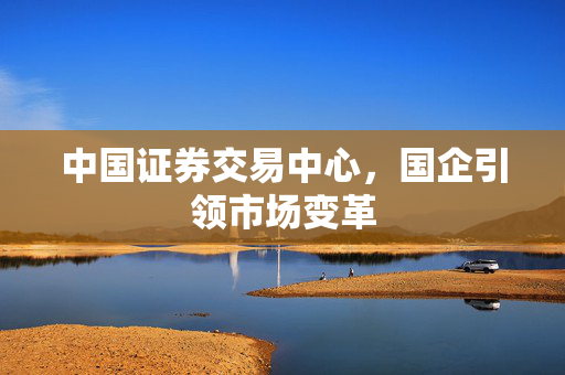 中国证券交易中心，国企引领市场变革