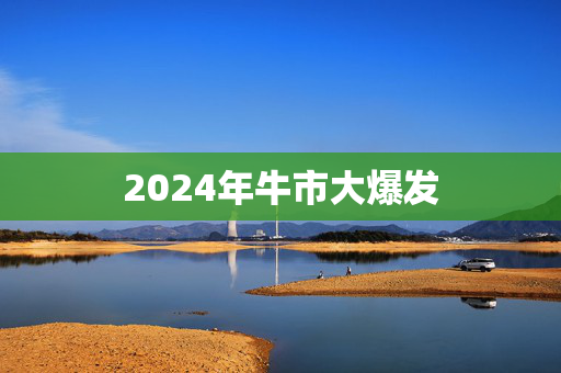 2024年牛市大爆发
