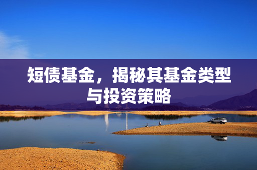 短债基金，揭秘其基金类型与投资策略