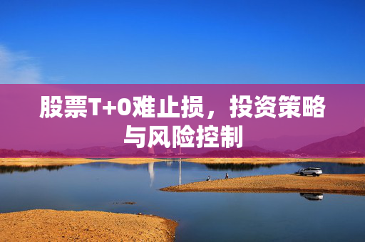 股票T+0难止损，投资策略与风险控制