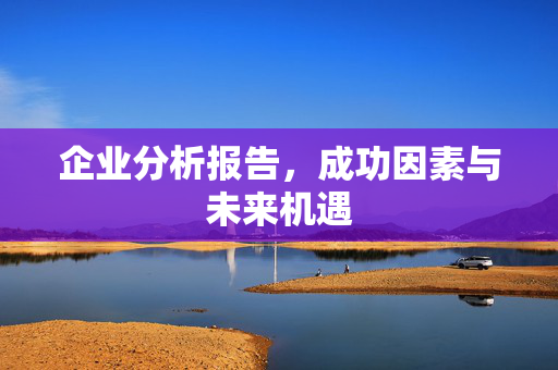企业分析报告，成功因素与未来机遇