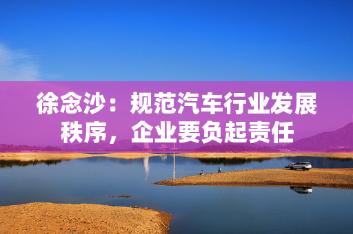 徐念沙：规范汽车行业发展秩序，企业要负起责任