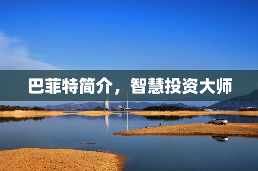 巴菲特简介，智慧投资大师
