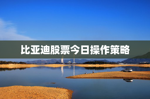 比亚迪股票今日操作策略