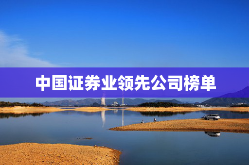 中国证券业领先公司榜单