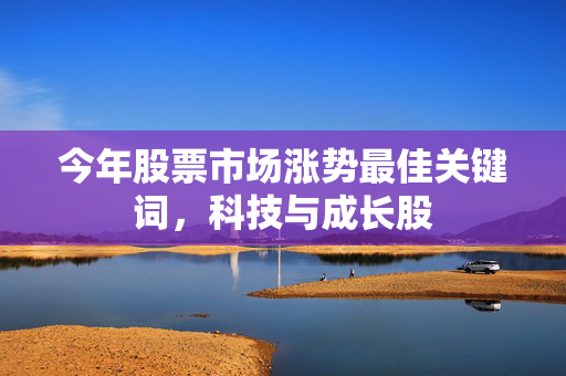 今年股票市场涨势最佳关键词，科技与成长股