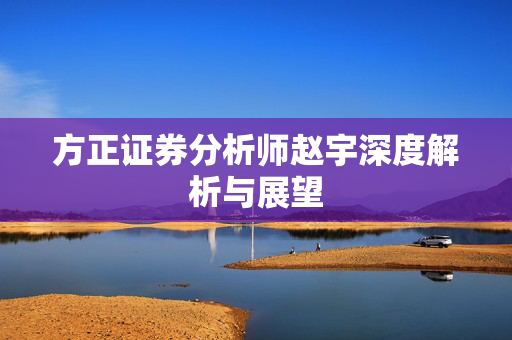 方正证券分析师赵宇深度解析与展望