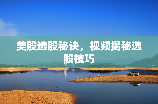 美股选股秘诀，视频揭秘选股技巧