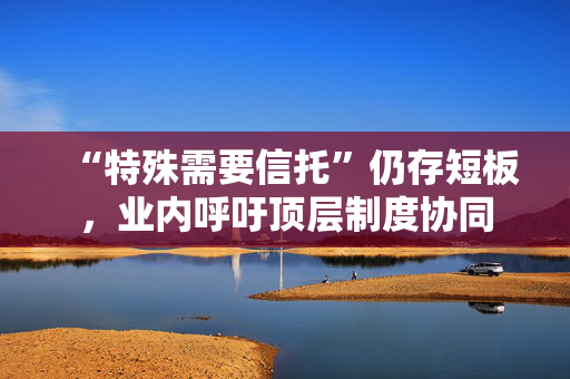 “特殊需要信托”仍存短板，业内呼吁顶层制度协同