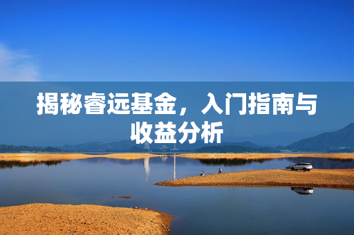 揭秘睿远基金，入门指南与收益分析