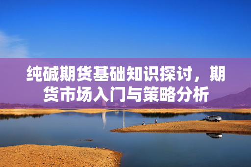 纯碱期货基础知识探讨，期货市场入门与策略分析