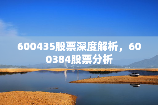 600435股票深度解析，600384股票分析