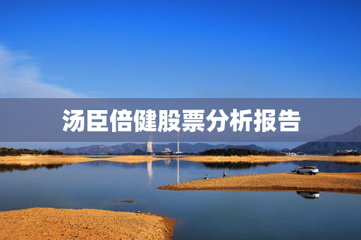 汤臣倍健股票分析报告