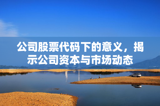 公司股票代码下的意义，揭示公司资本与市场动态