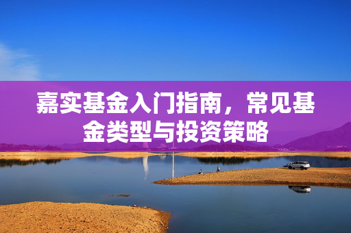 嘉实基金入门指南，常见基金类型与投资策略
