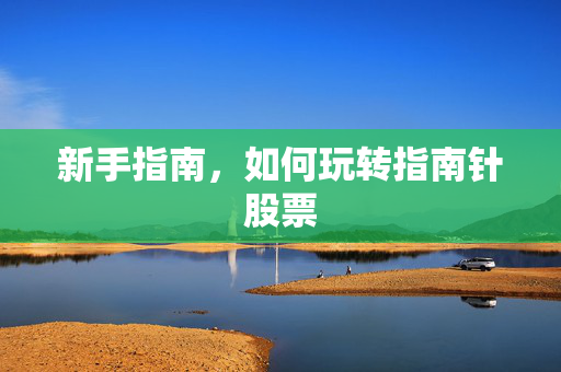 新手指南，如何玩转指南针股票
