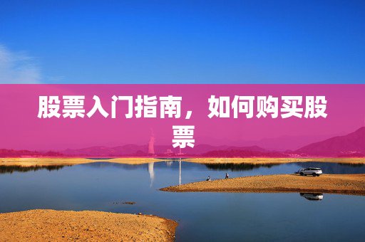 股票入门指南，如何购买股票