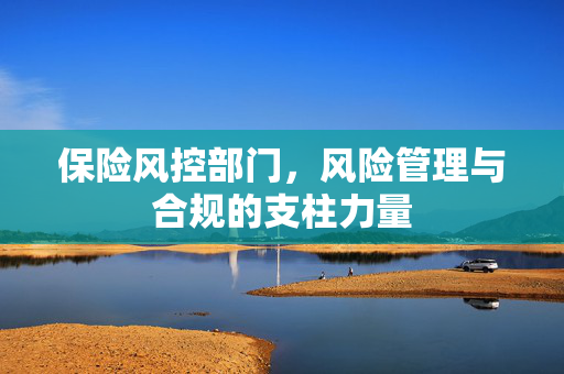 保险风控部门，风险管理与合规的支柱力量