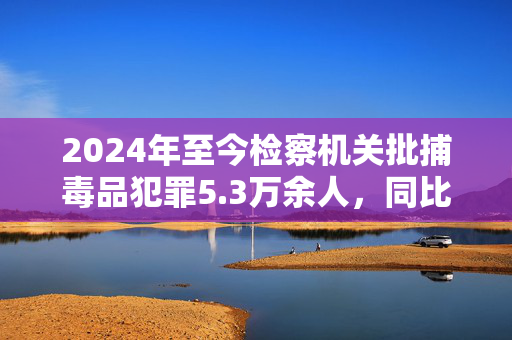 2024年至今检察机关批捕毒品犯罪5.3万余人，同比下降14%