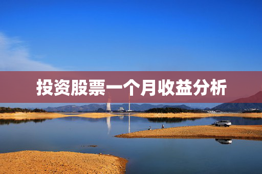 投资股票一个月收益分析