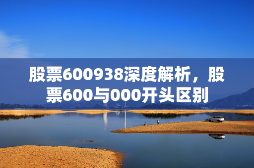 股票600938深度解析，股票600与000开头区别