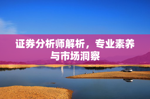 证券分析师解析，专业素养与市场洞察