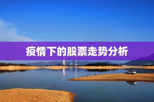 疫情下的股票走势分析