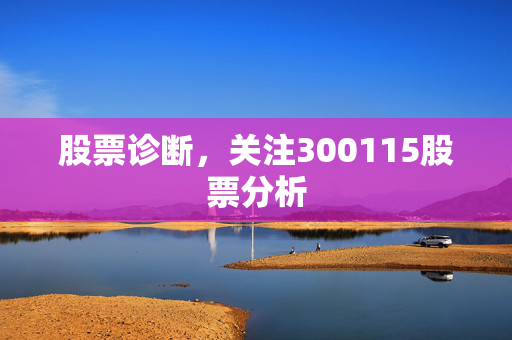 股票诊断，关注300115股票分析