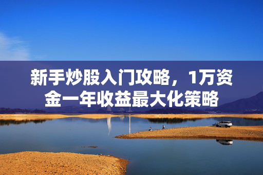 新手炒股入门攻略，1万资金一年收益最大化策略
