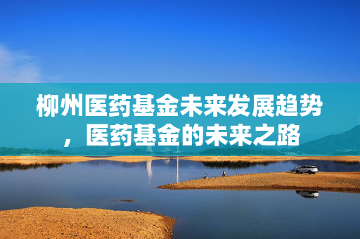 柳州医药基金未来发展趋势，医药基金的未来之路