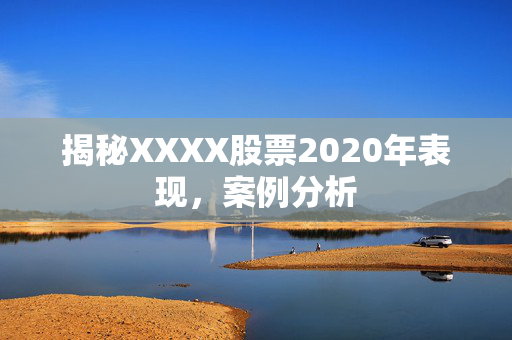 揭秘XXXX股票2020年表现，案例分析