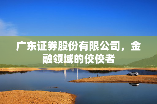 广东证券股份有限公司，金融领域的佼佼者