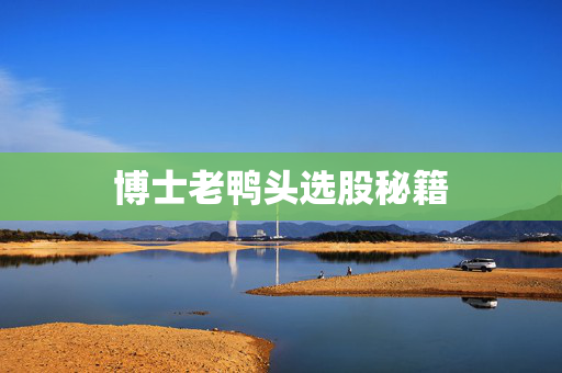 博士老鸭头选股秘籍