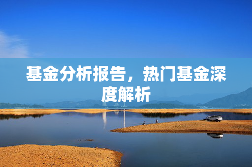 基金分析报告，热门基金深度解析