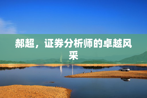 郝超，证券分析师的卓越风采