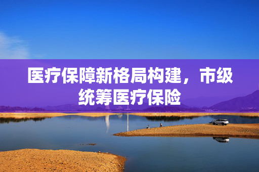 医疗保障新格局构建，市级统筹医疗保险