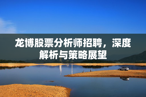 龙博股票分析师招聘，深度解析与策略展望