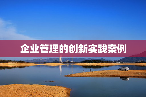 企业管理的创新实践案例