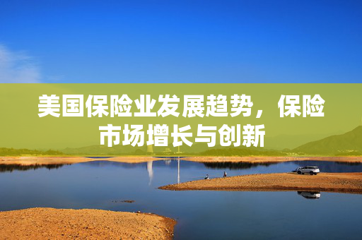美国保险业发展趋势，保险市场增长与创新