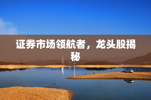 证券市场领航者，龙头股揭秘