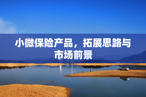 小微保险产品，拓展思路与市场前景