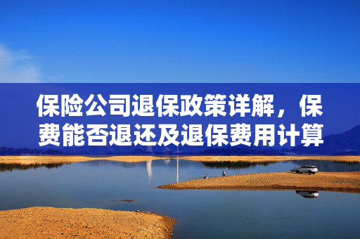 保险公司退保政策详解，保费能否退还及退保费用计算