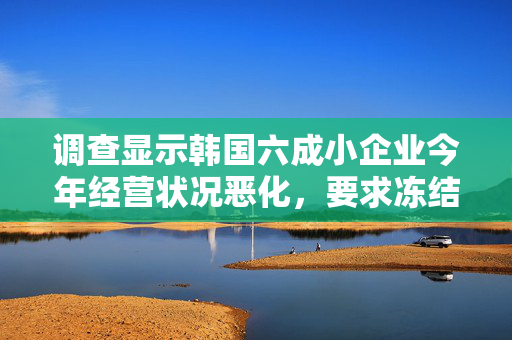 调查显示韩国六成小企业今年经营状况恶化，要求冻结或降低最低工资